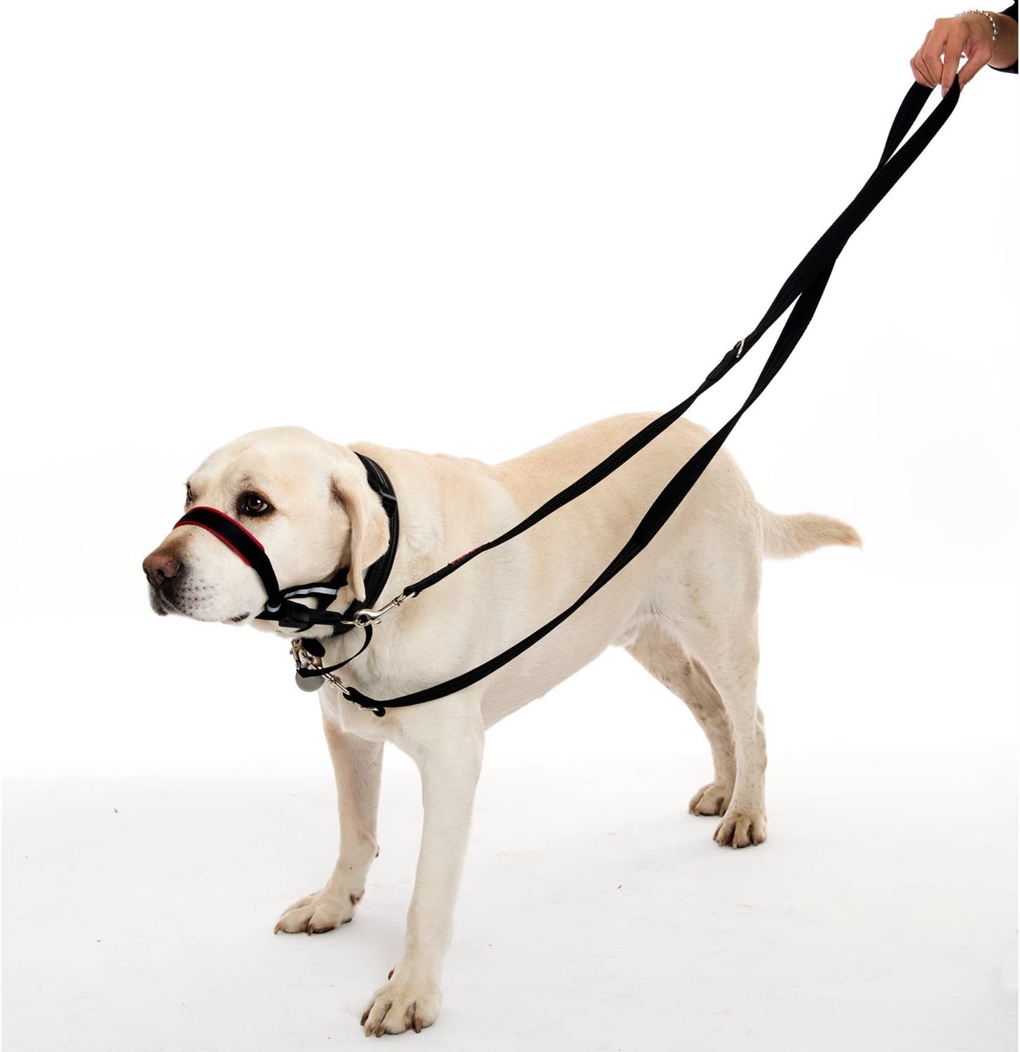 HALTI Dog Training Lead - Red