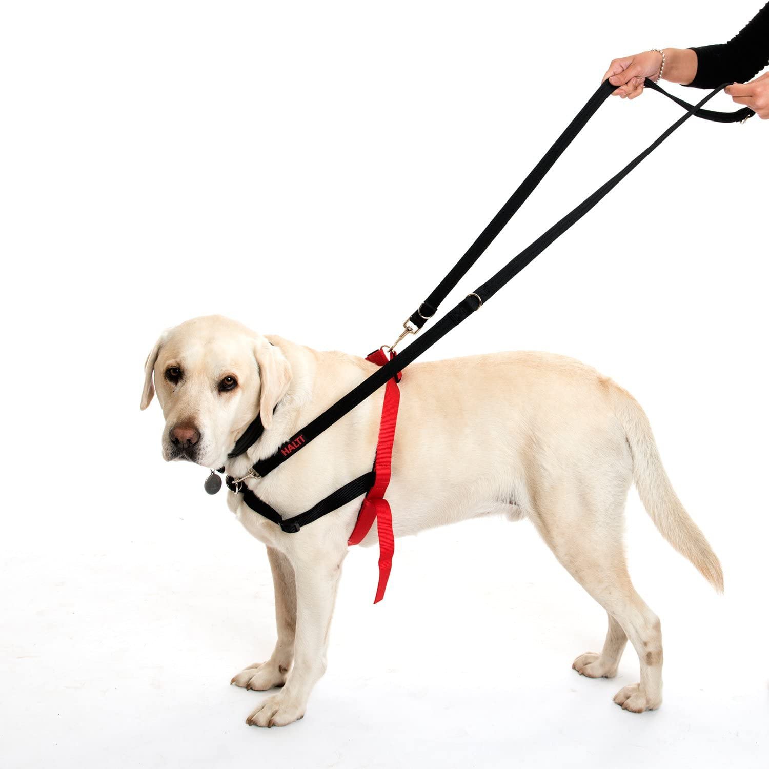 HALTI Dog Training Lead - Black