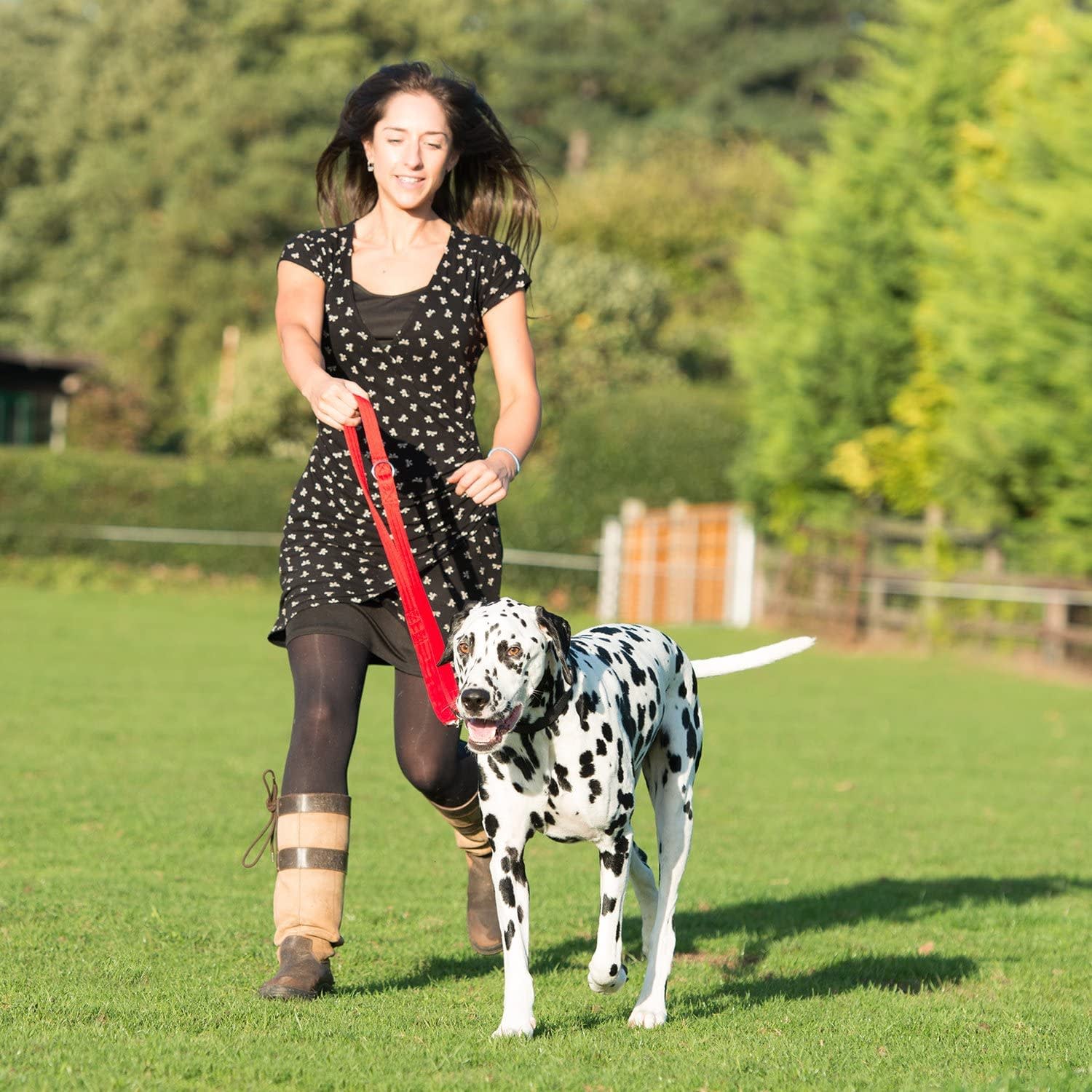 HALTI Dog Training Lead - Red