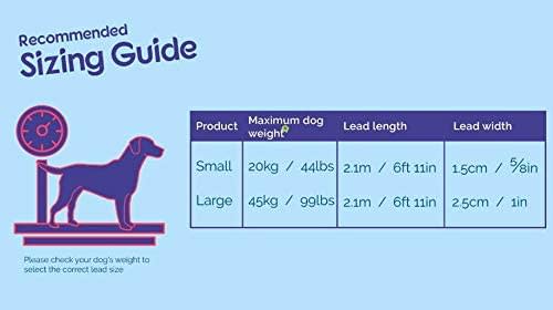 HALTI Dog Training Lead - Black