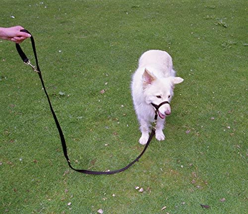 HALTI Dog Training Lead - Black