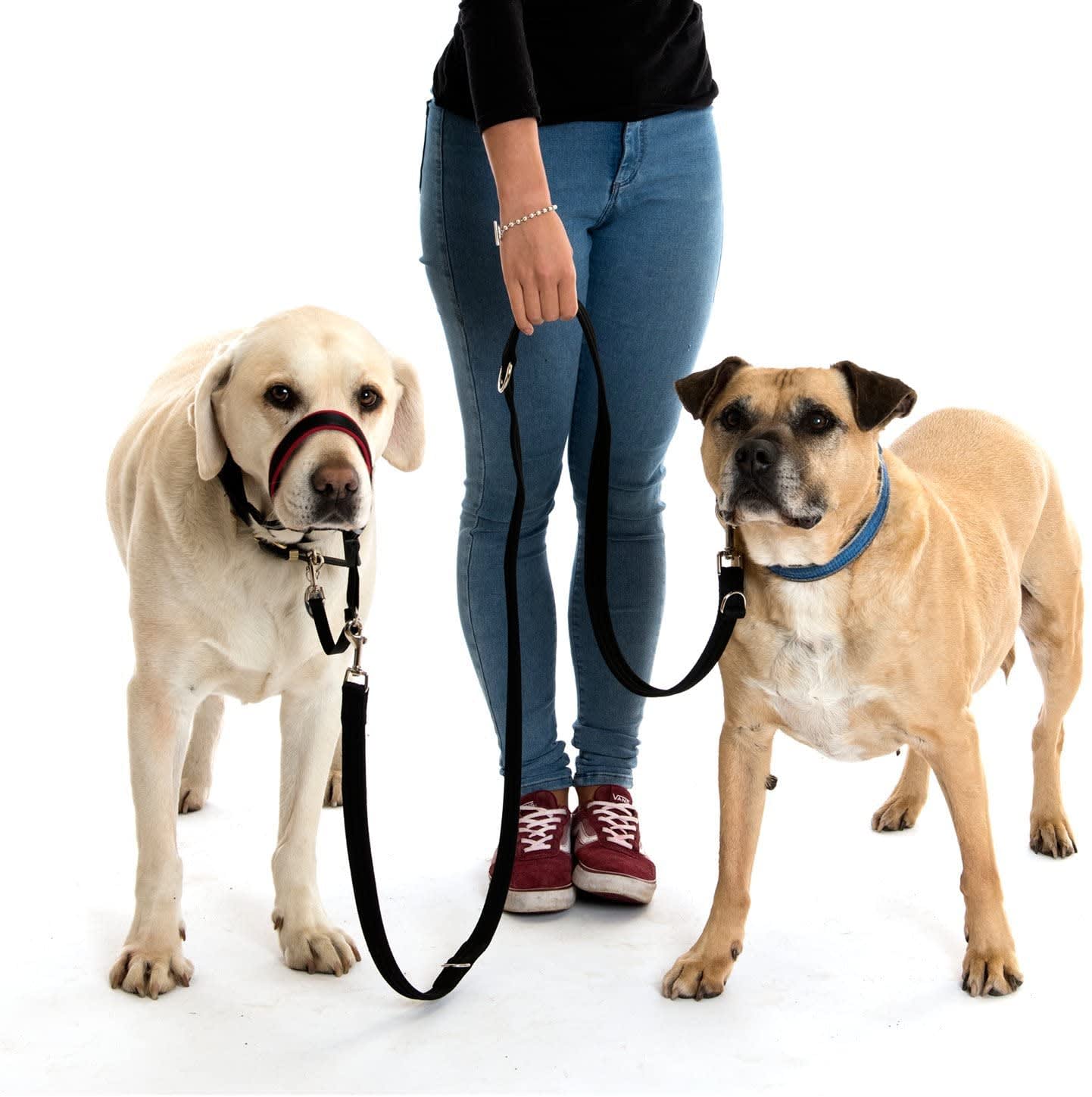 HALTI Dog Training Lead - Black
