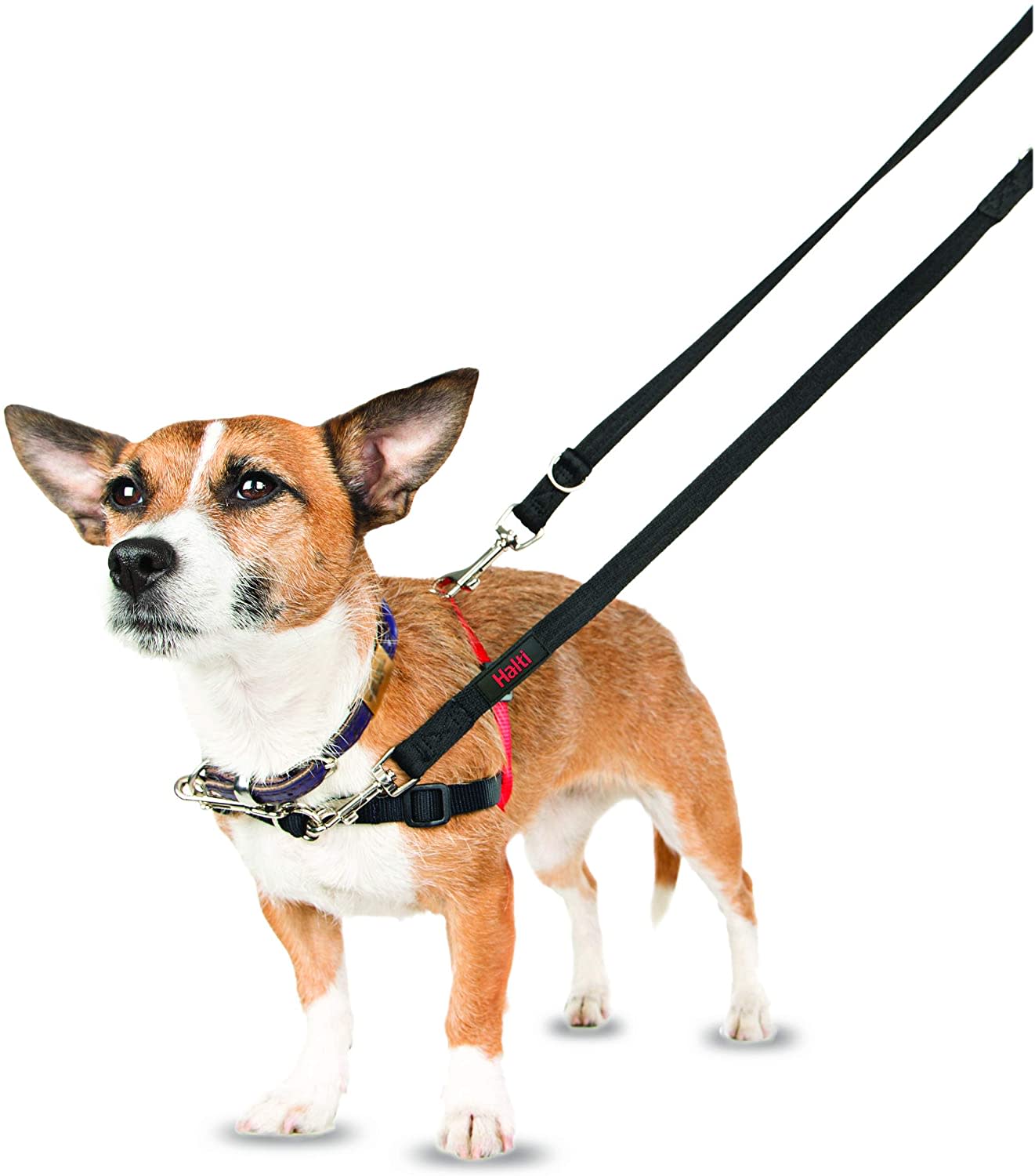 HALTI Dog Training Lead - Black