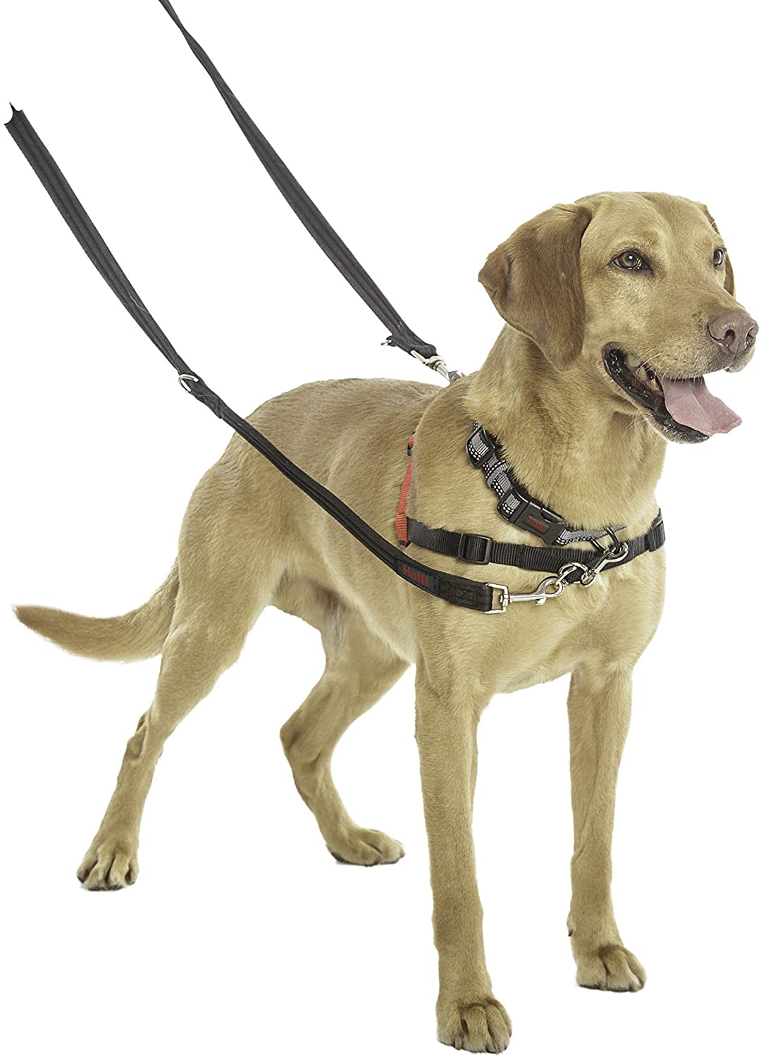 HALTI Dog Training Lead - Black