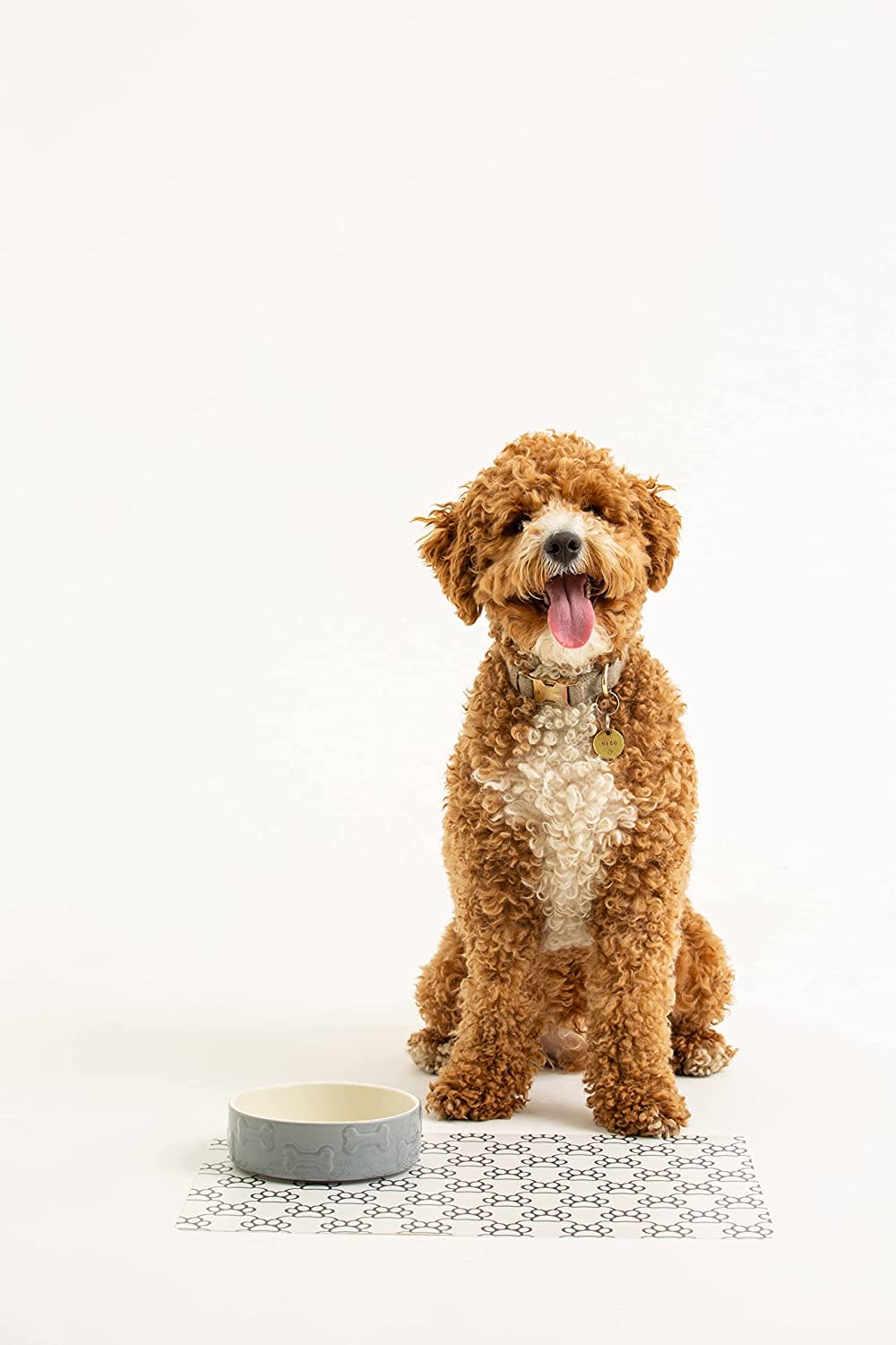 Stoneware Dog Bowl - Embossed Bone Grey