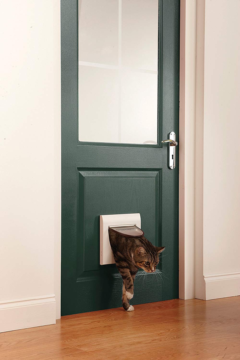 4 Way Locking Cat Flap