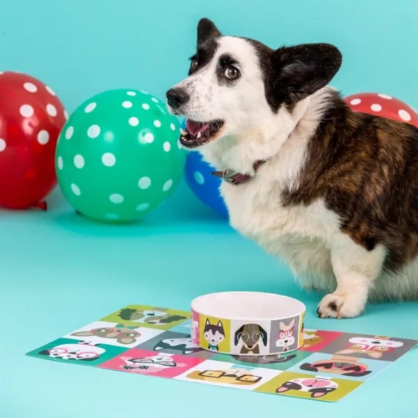 Stoneware Dog Bowl - Pawtrait Multicoloured