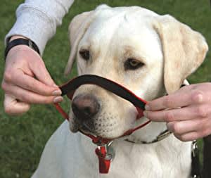 HALTI - Black Head Collar8