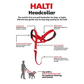 HALTI - Black Head Collar7