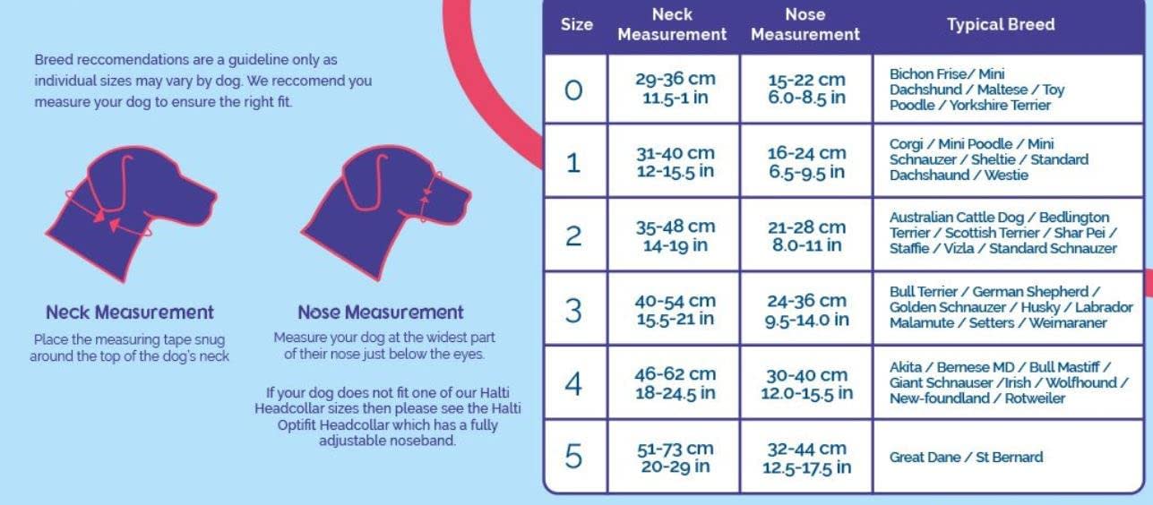 HALTI - Black Head Collar5