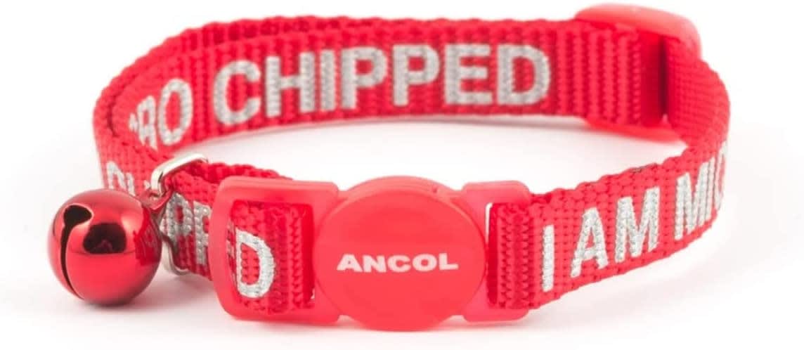 I Am Micro Chipped Red Cat Collar