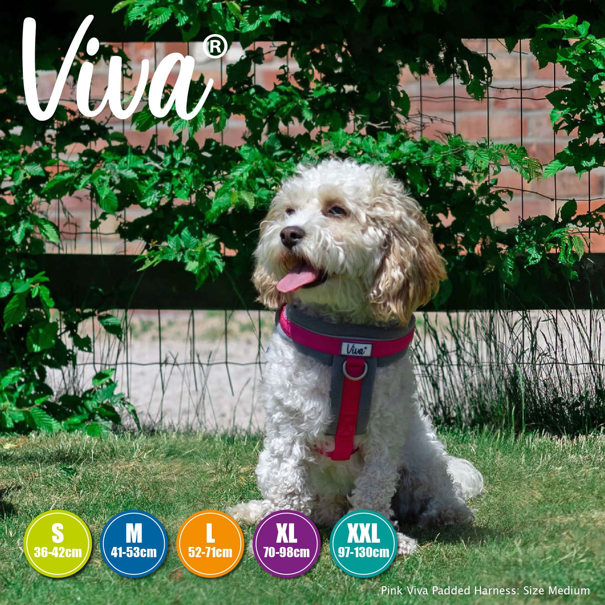 Padded Dog Harness - Red