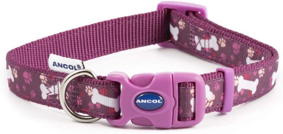 Bone and Paw Purple Dog Collar