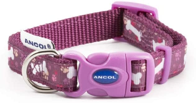 Bone and Paw Purple Dog Collar