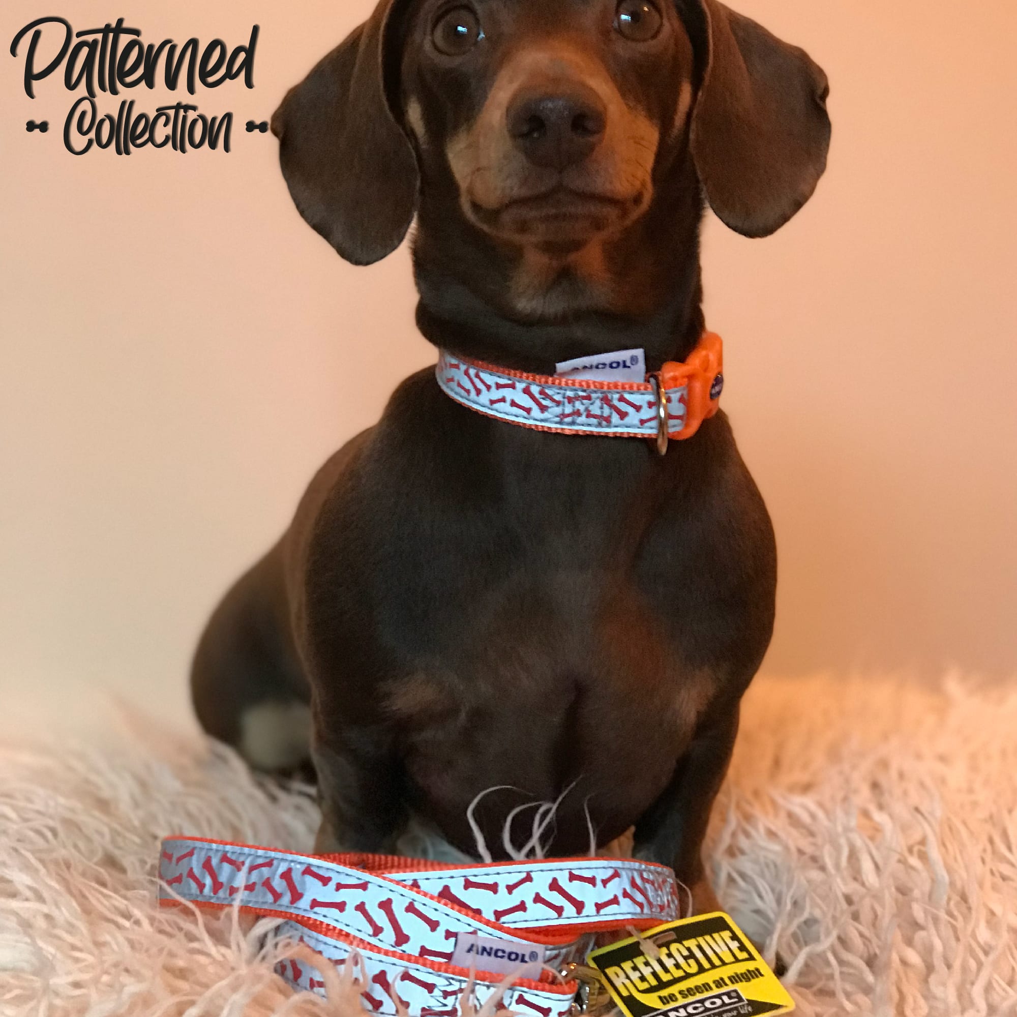 Reflective Dog Lead - Orange Bones