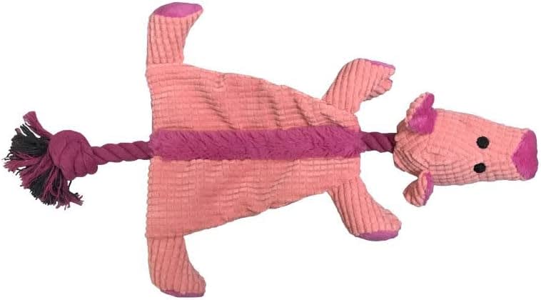 Raggy Crinkle Pig Dog Toy