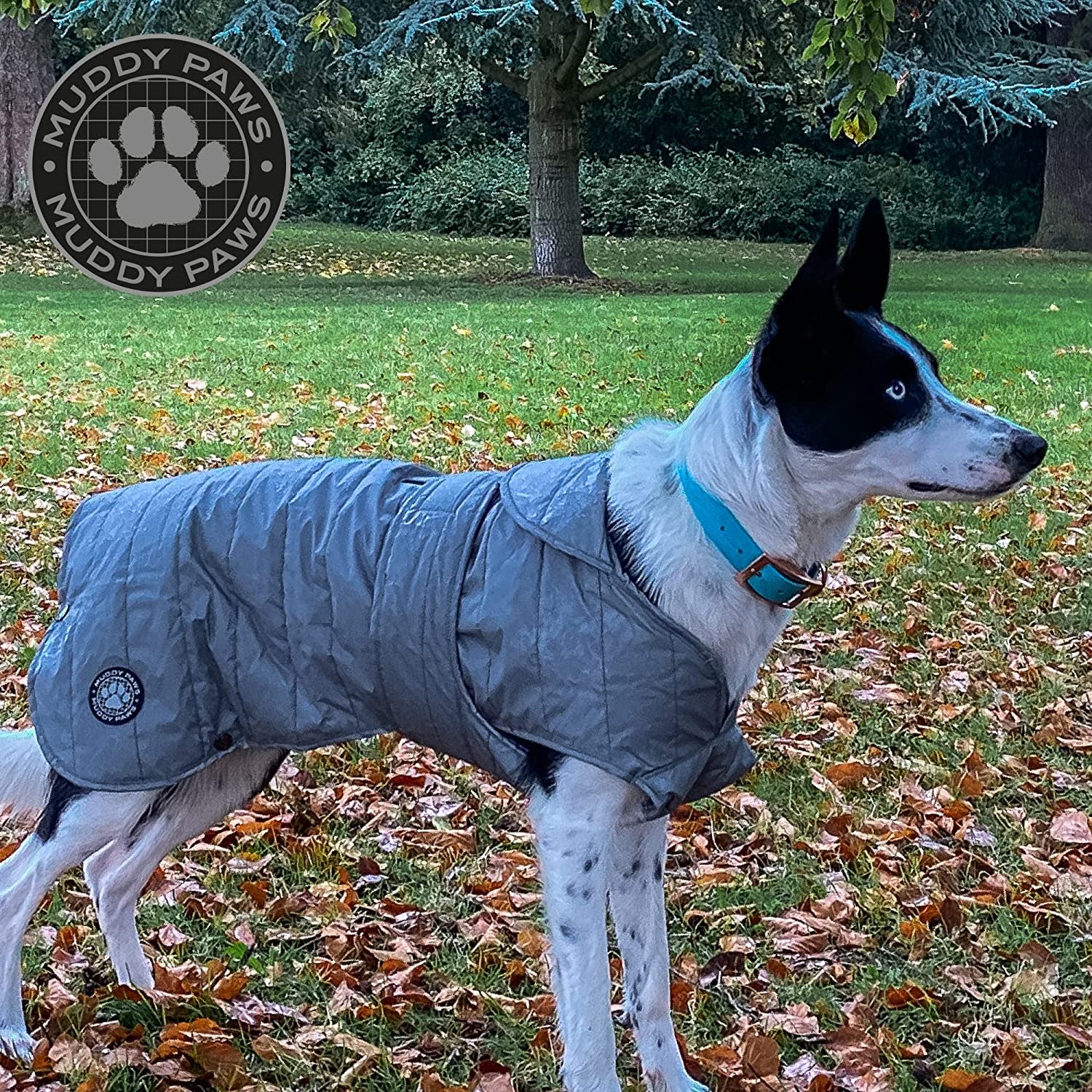 Ultimate Reflective Dog Coat - Silver