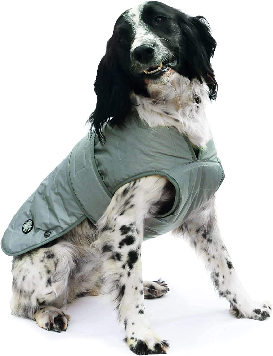 Ultimate Reflective Dog Coat - Silver