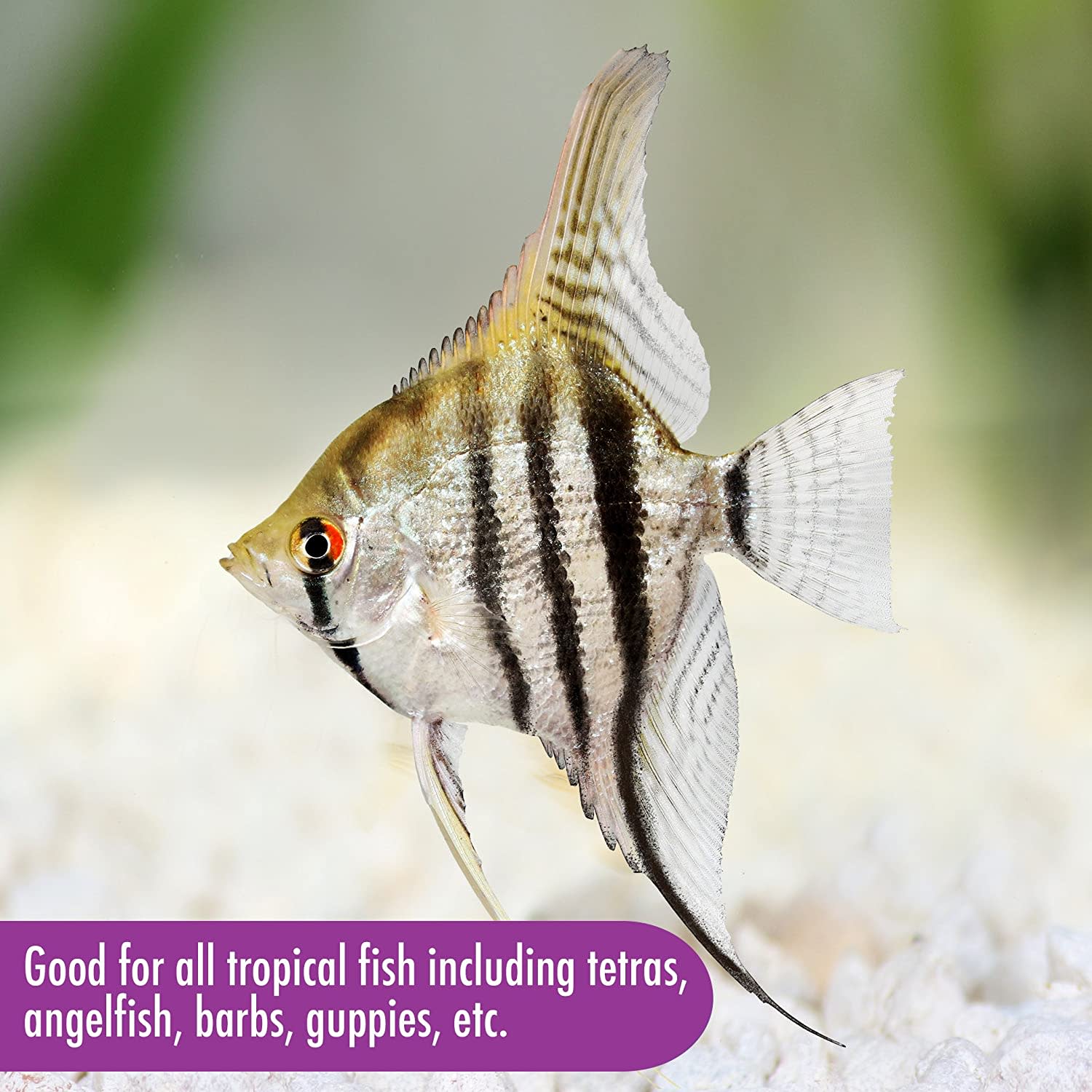 Aquarian Tropical Fish Food - Flakes