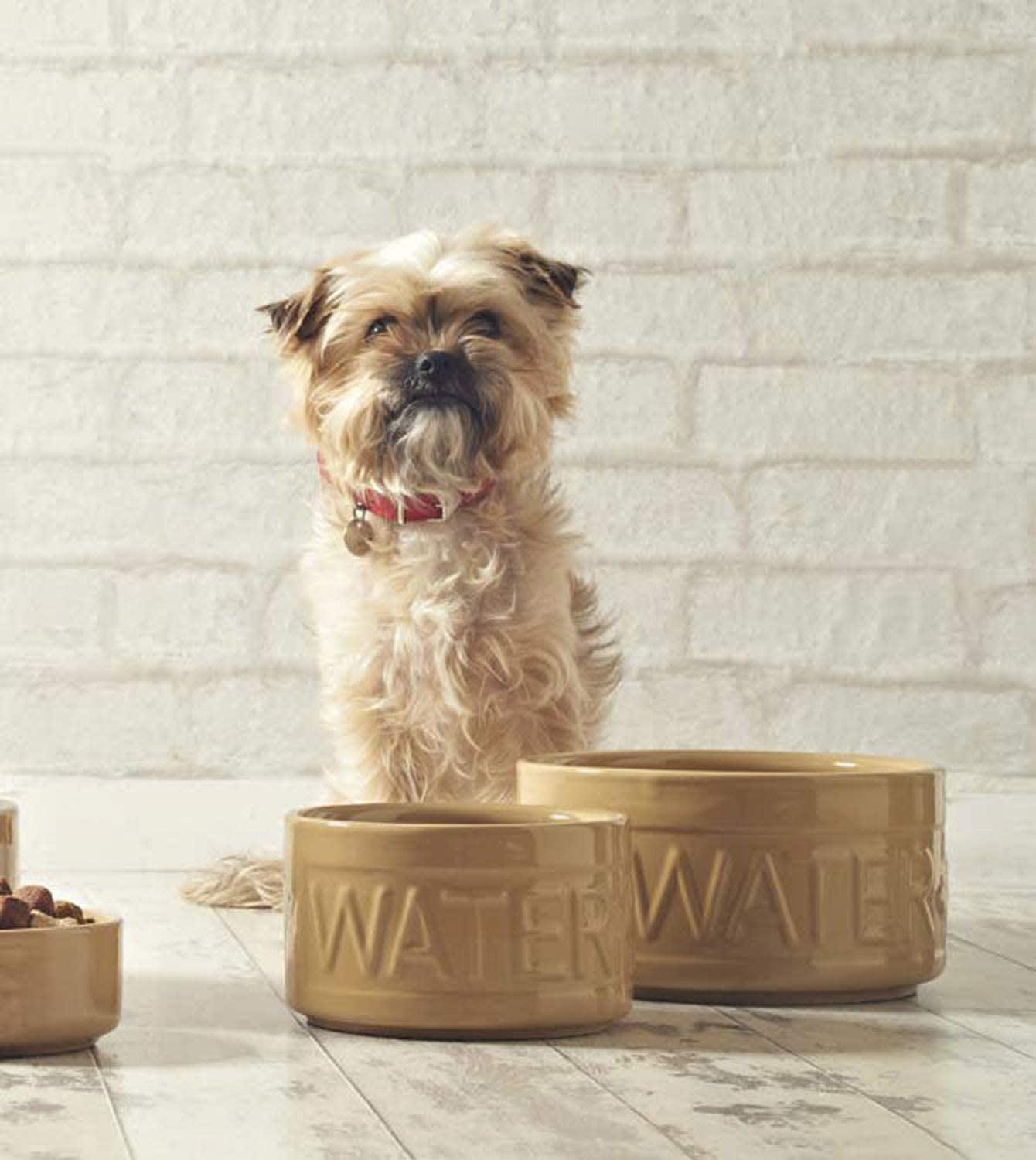 Stoneware Dog Water Bowl - Embossed WATER