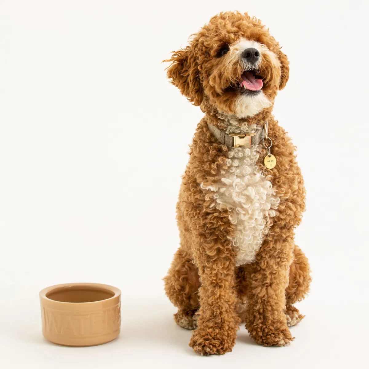 Stoneware Dog Water Bowl - Embossed WATER