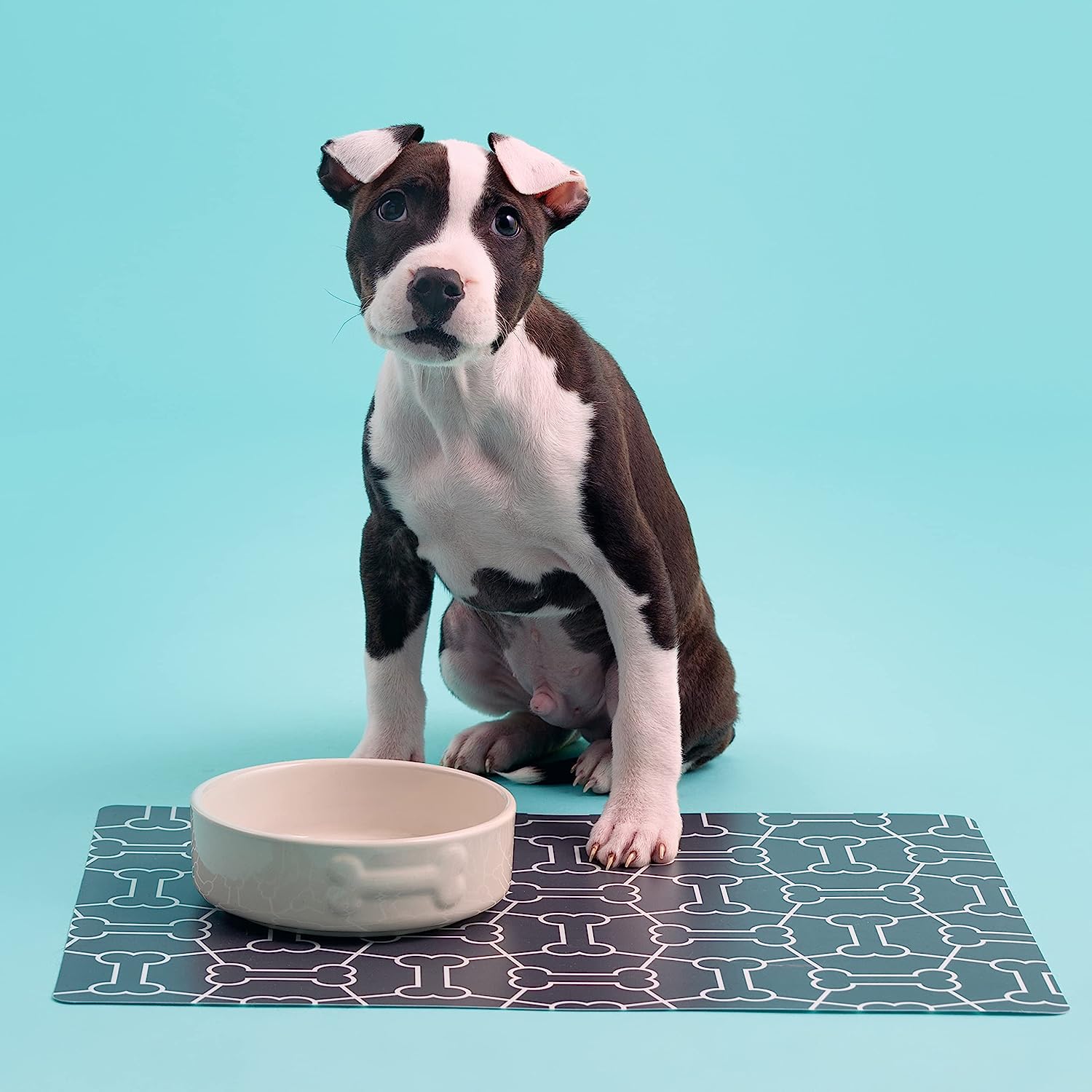 Stoneware Dog Bowl - Embossed Bone Cream