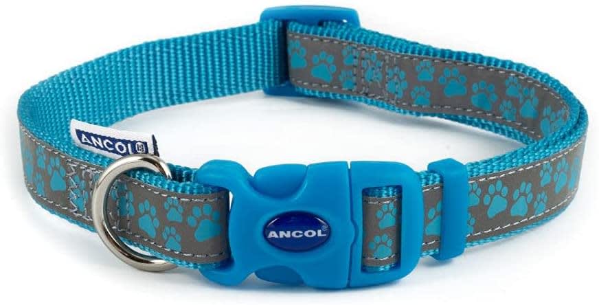 Reflective Dog Collar - Blue Paw