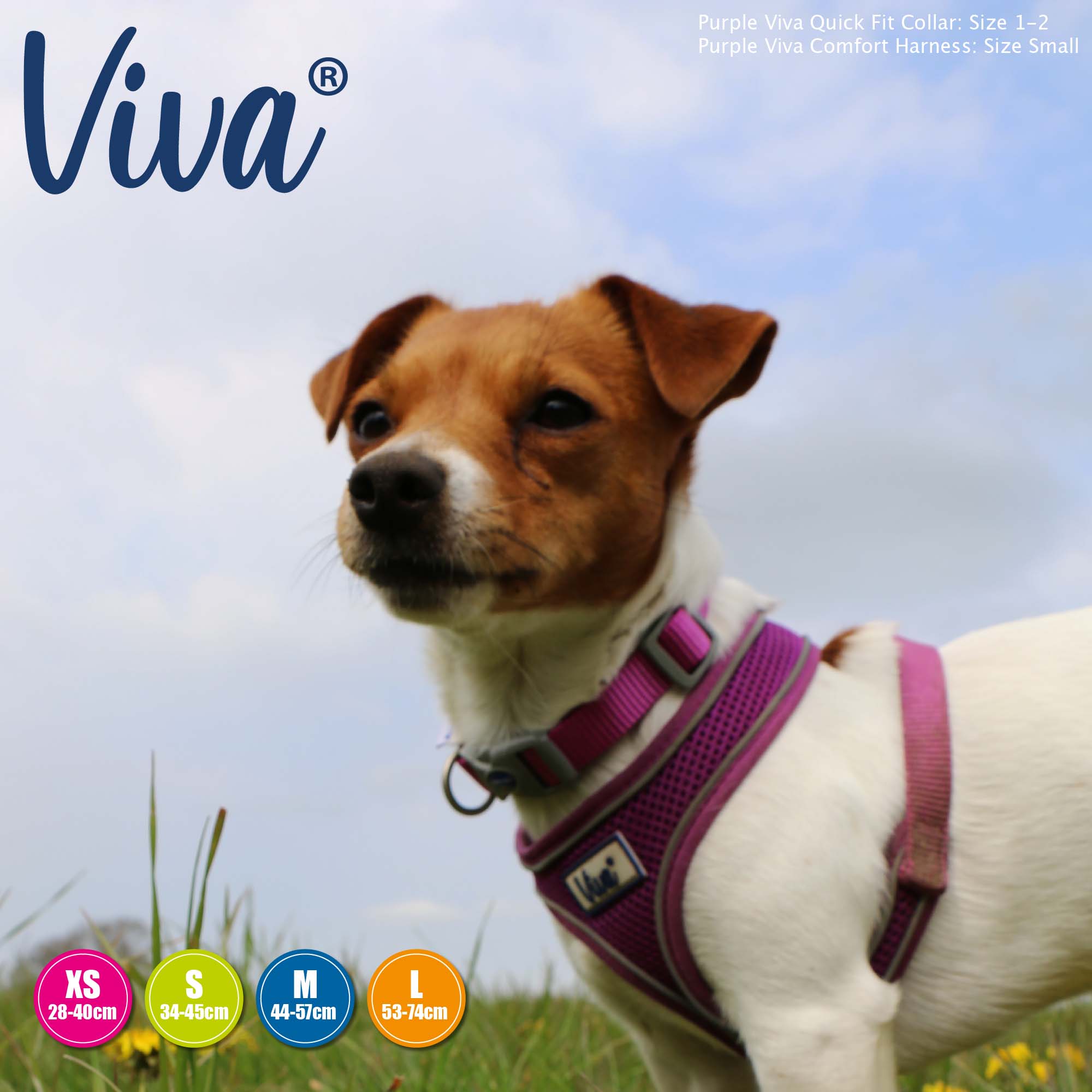 Mesh Dog Harness - Purple - Image 2