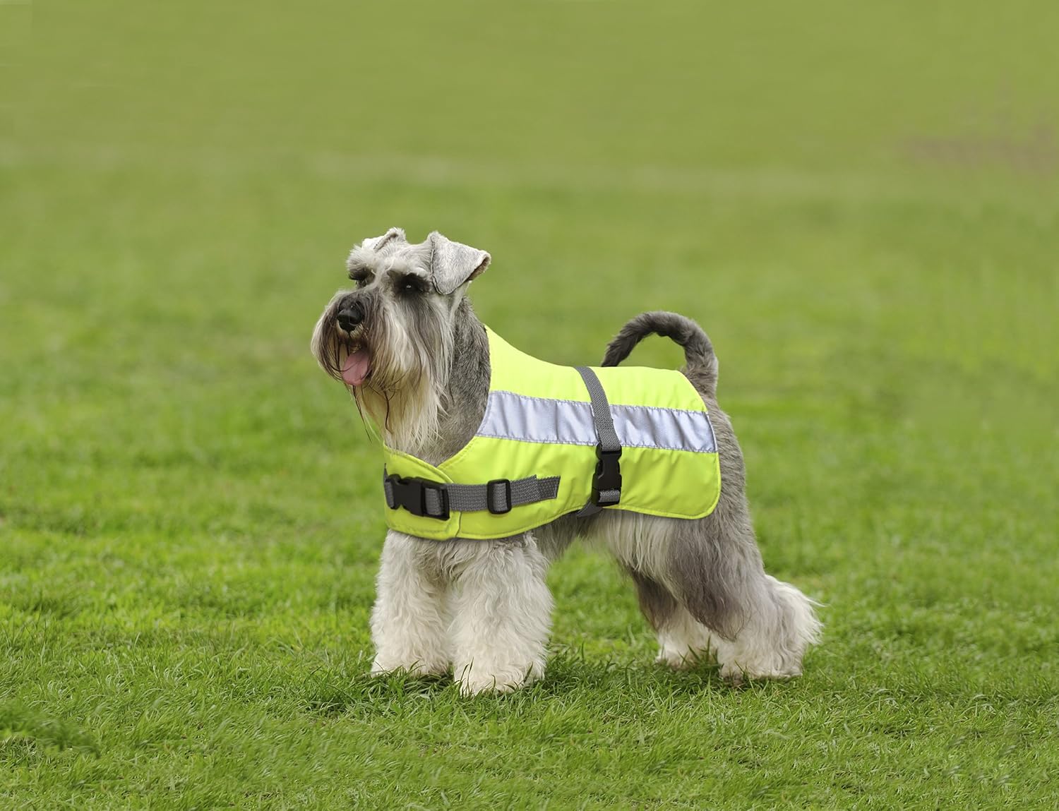 Flectalon Reflective Dog Coat - Yellow