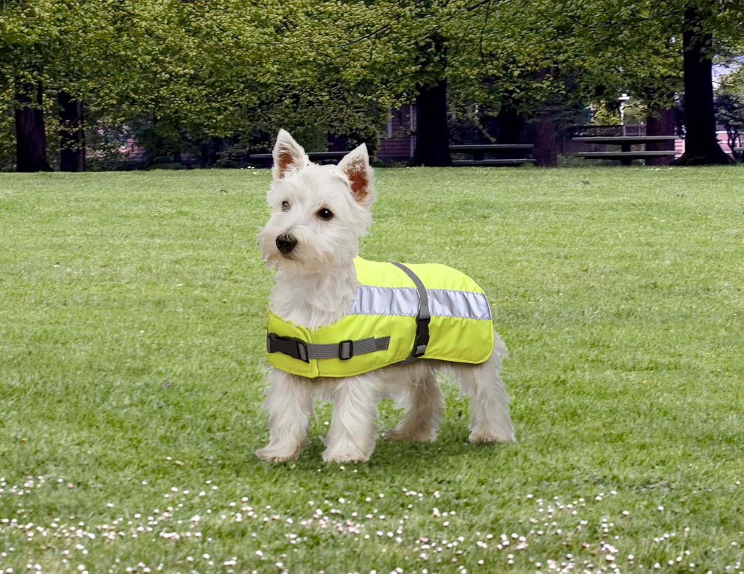 Flectalon Reflective Dog Coat - Yellow