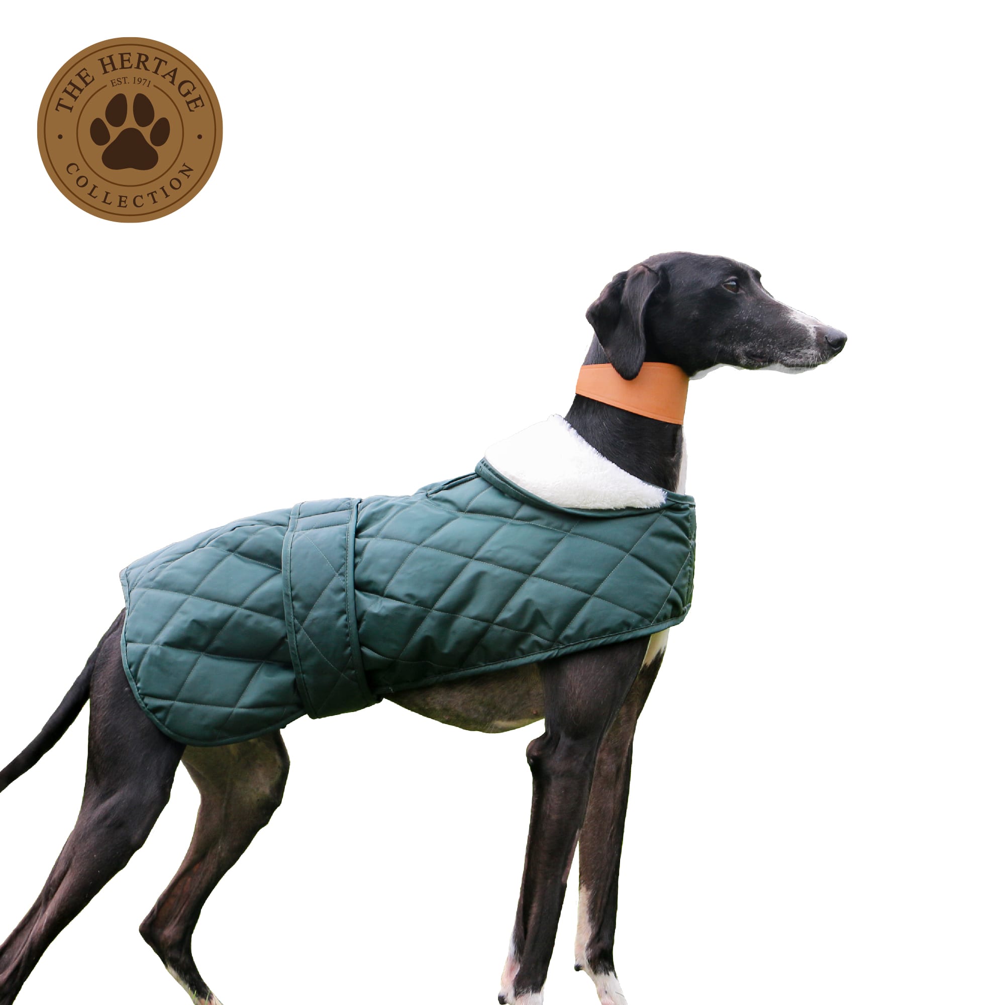 Quilted Hound Coat - Green