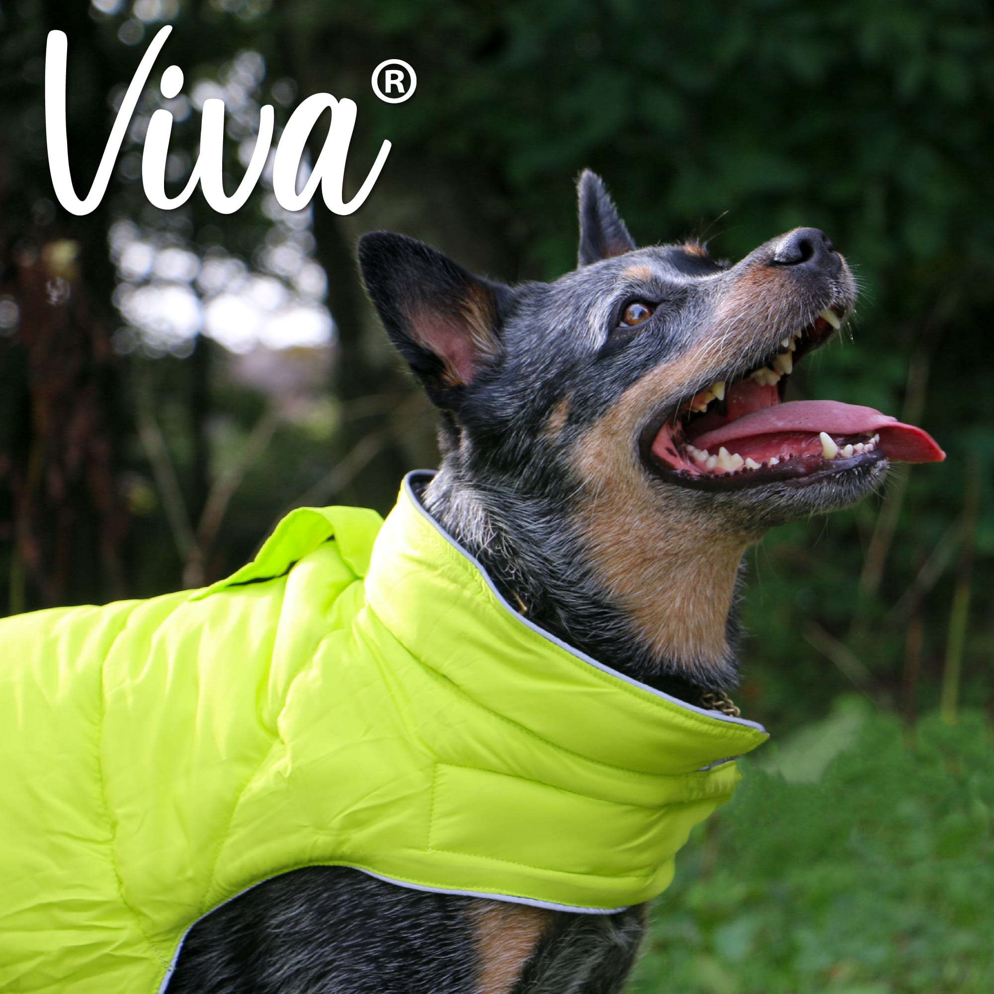 Reversible Puffer Dog Coat - Black & Hi Viz Green