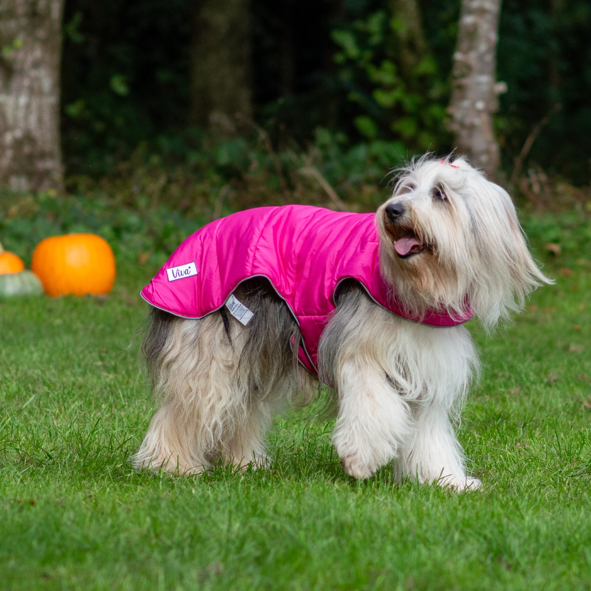 Reversible Puffer Dog Coat - Pink & Purple