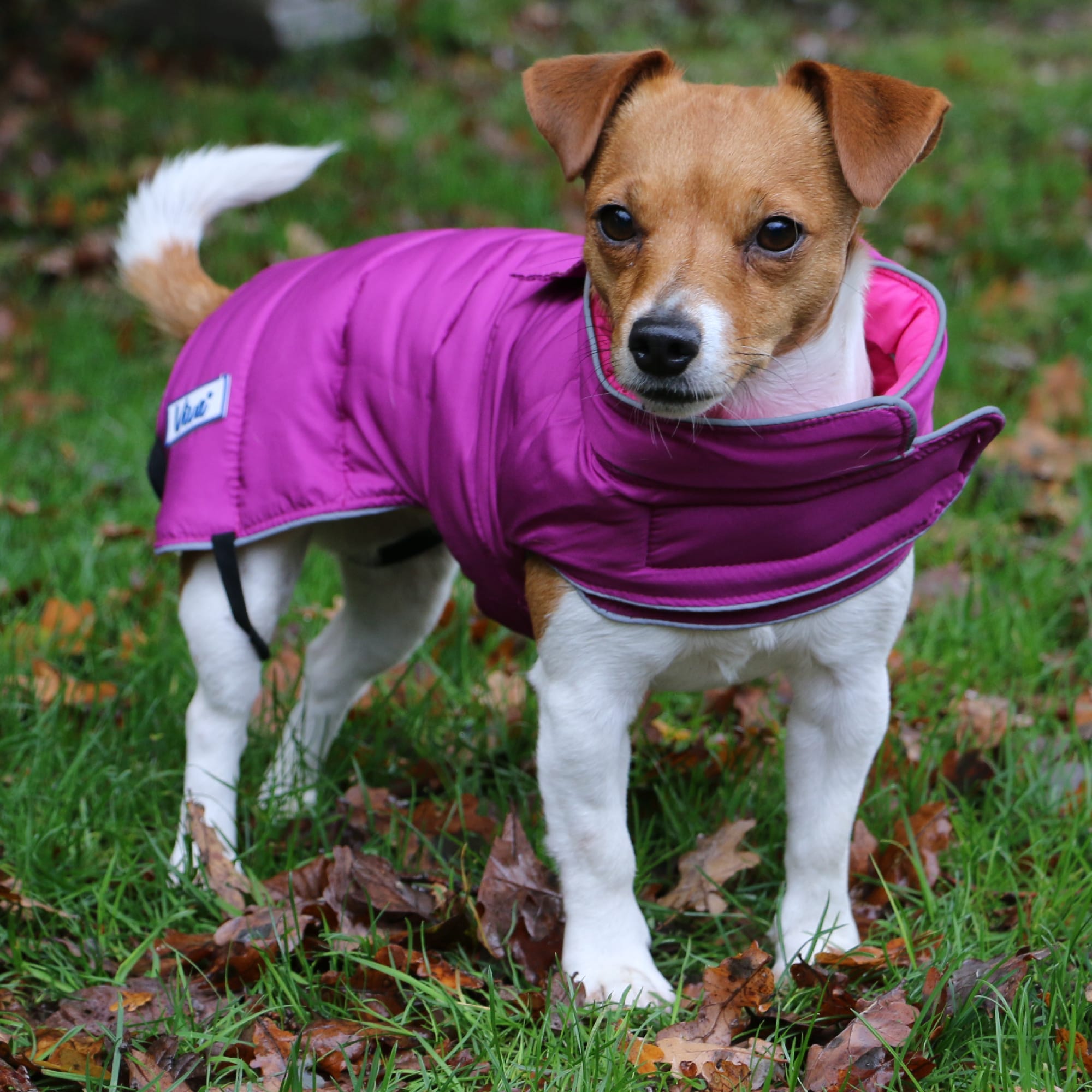 Reversible Puffer Dog Coat - Pink & Purple