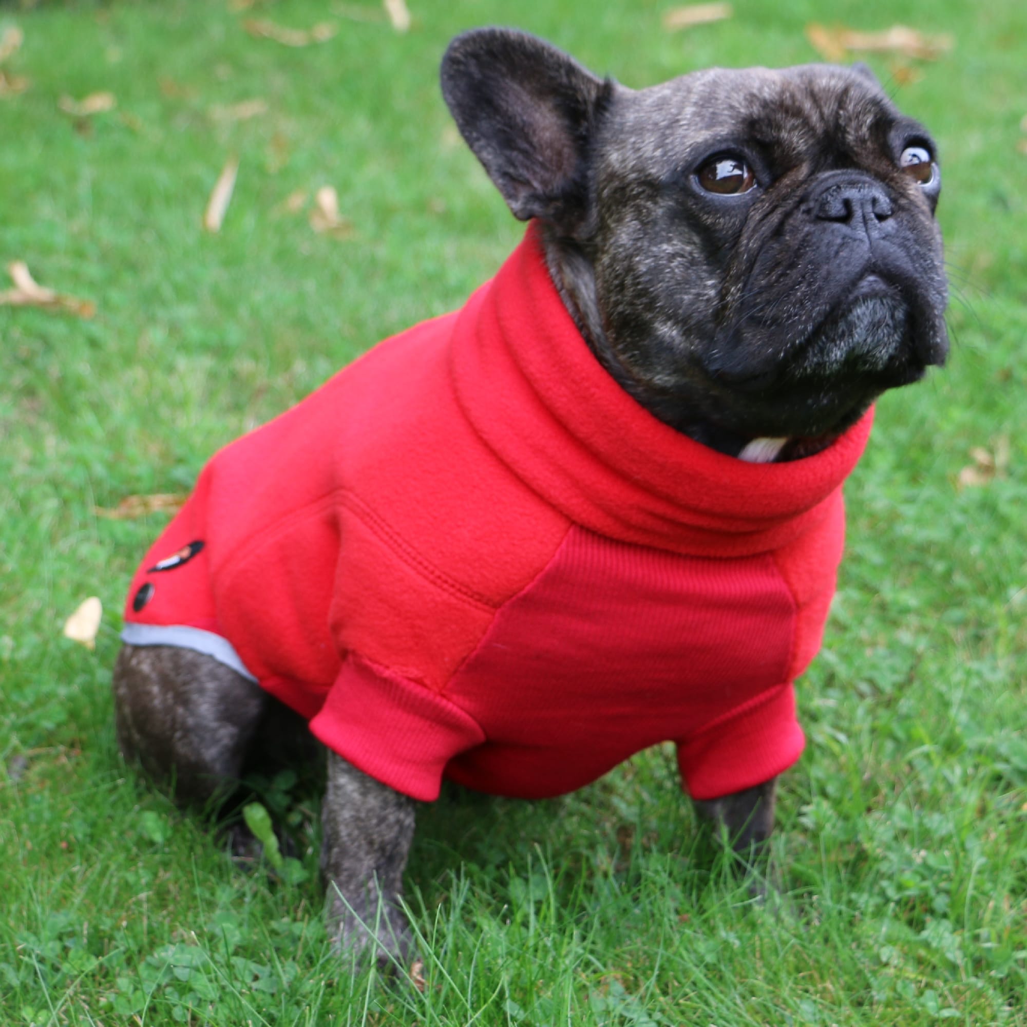 Fleece Dog Jumper - Red