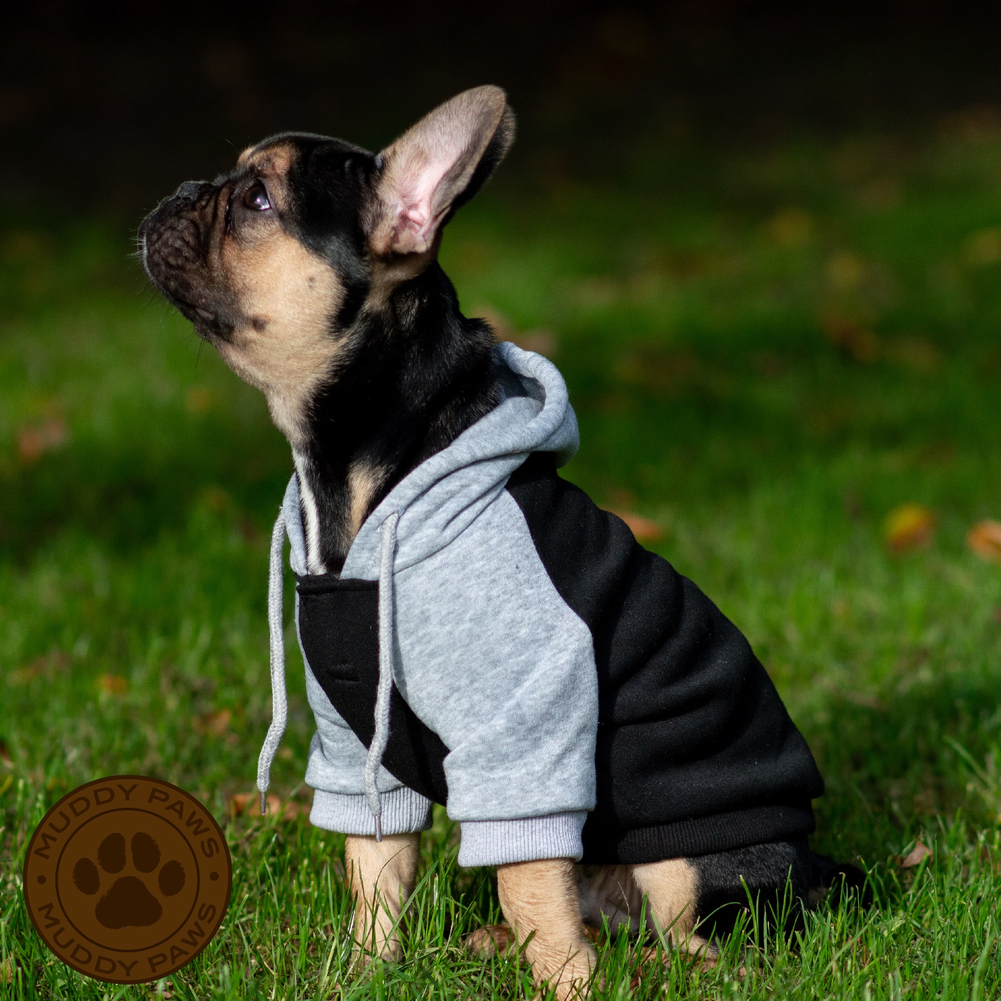 Dog Hoodie Jumper - Black & Grey