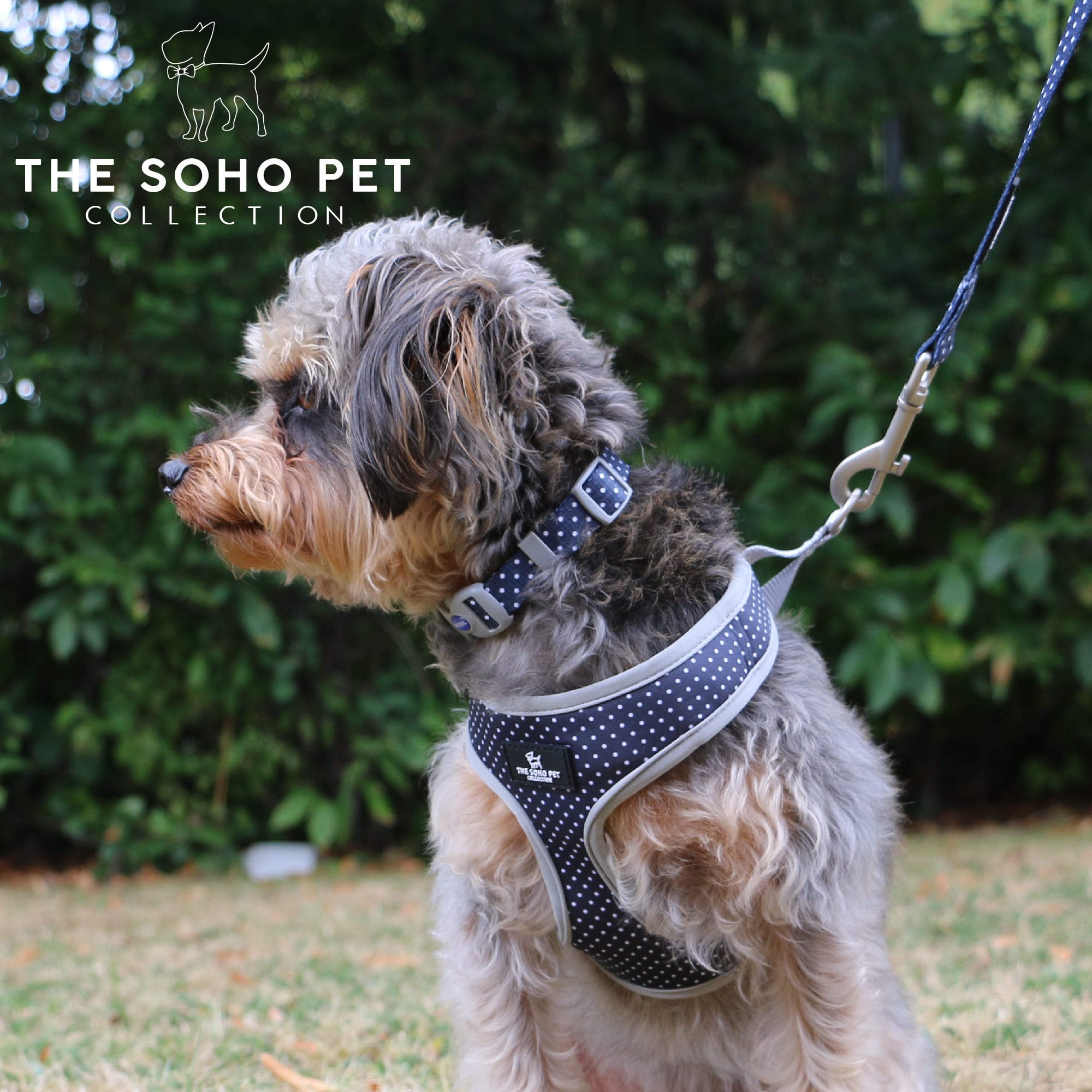 Soho Polka Dot Blue Dog Collar