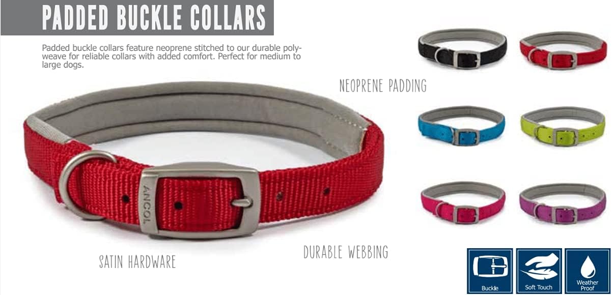 Padded Black Dog Collar