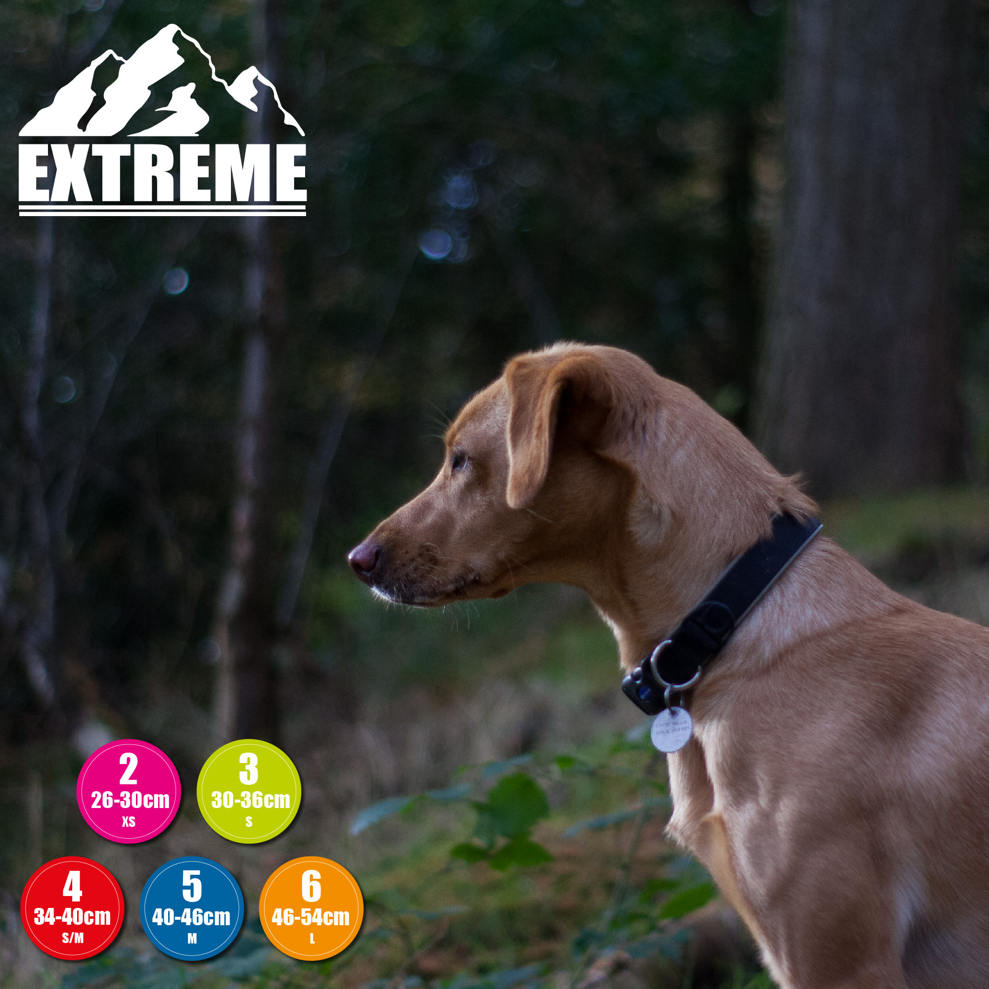 Extreme Shock Black Dog Collar