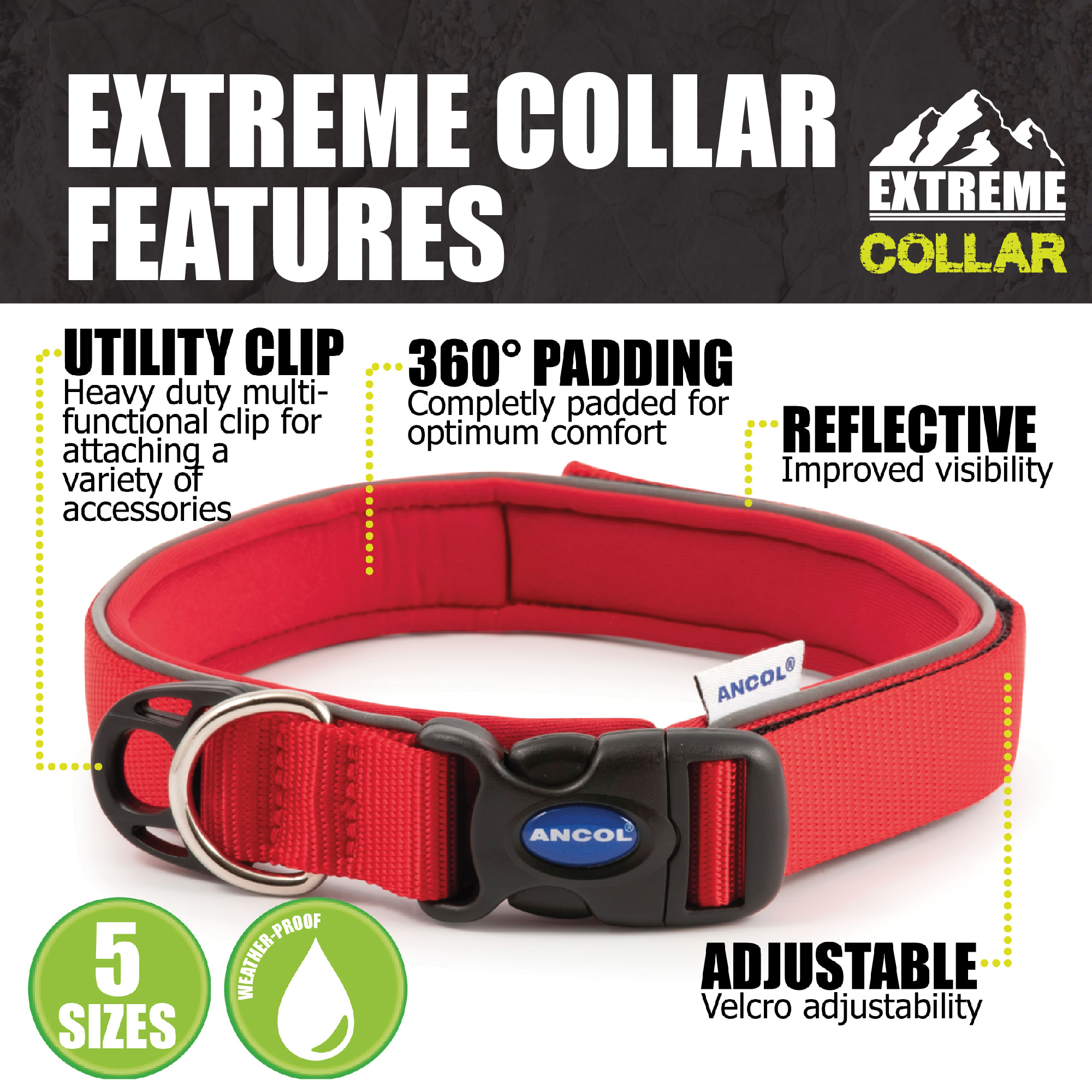 Extreme Shock Black Dog Collar