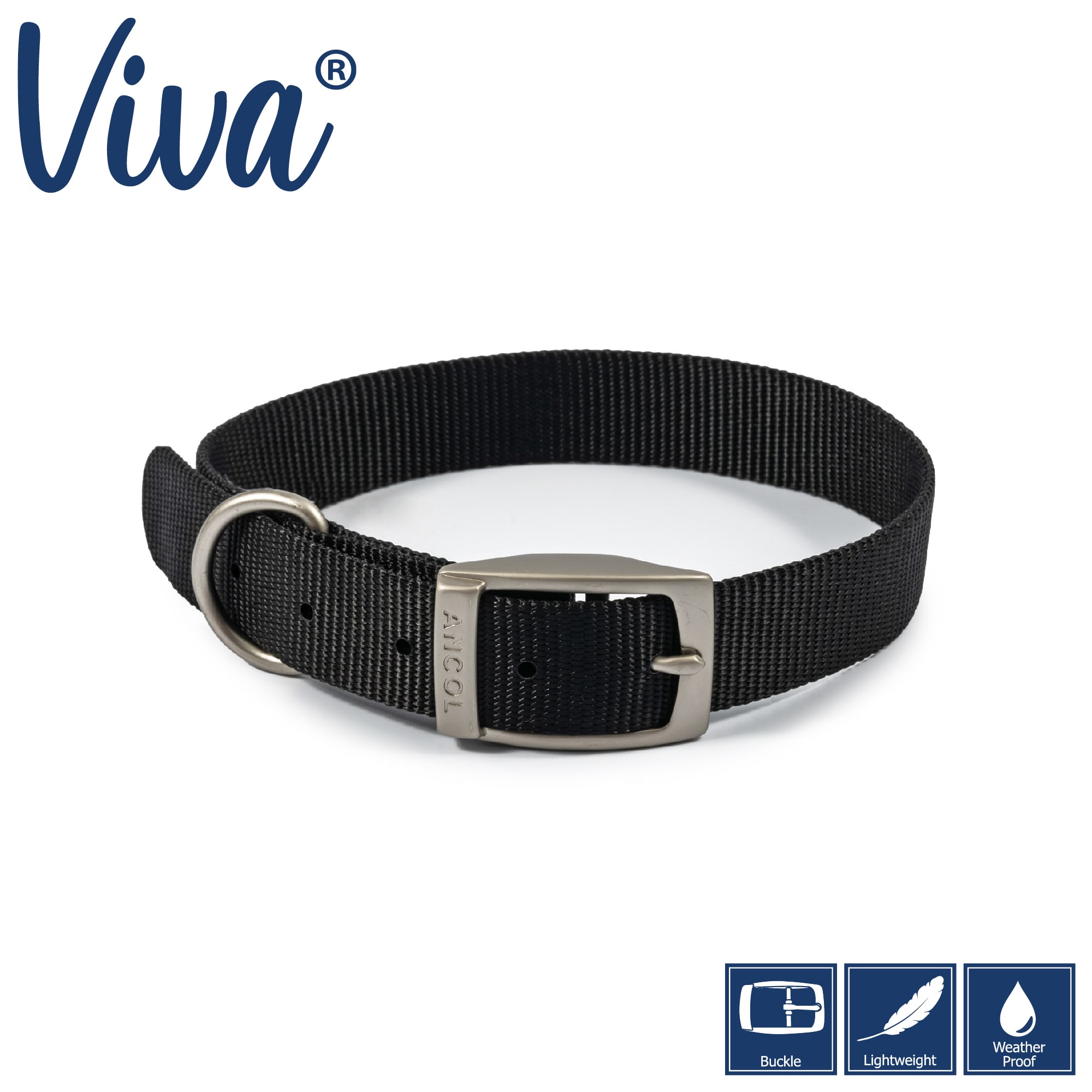 Black Dog Collar - Metal Buckle