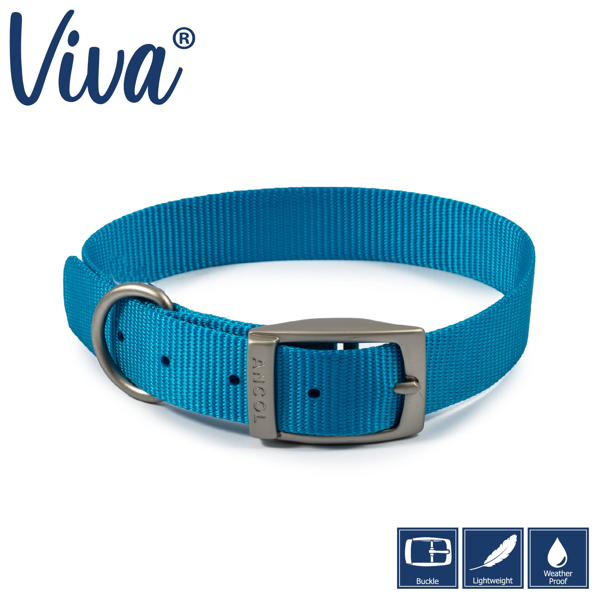 Blue Dog Collar - Metal Buckle