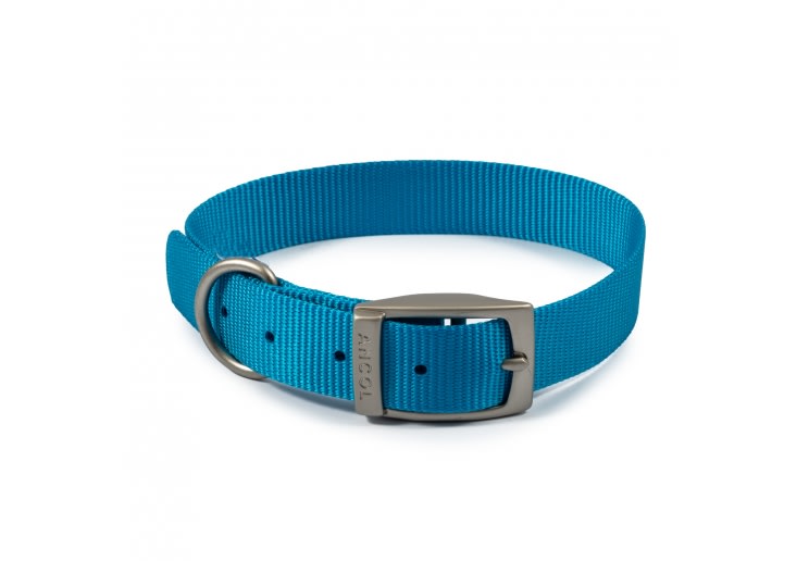Blue Dog Collar - Metal Buckle