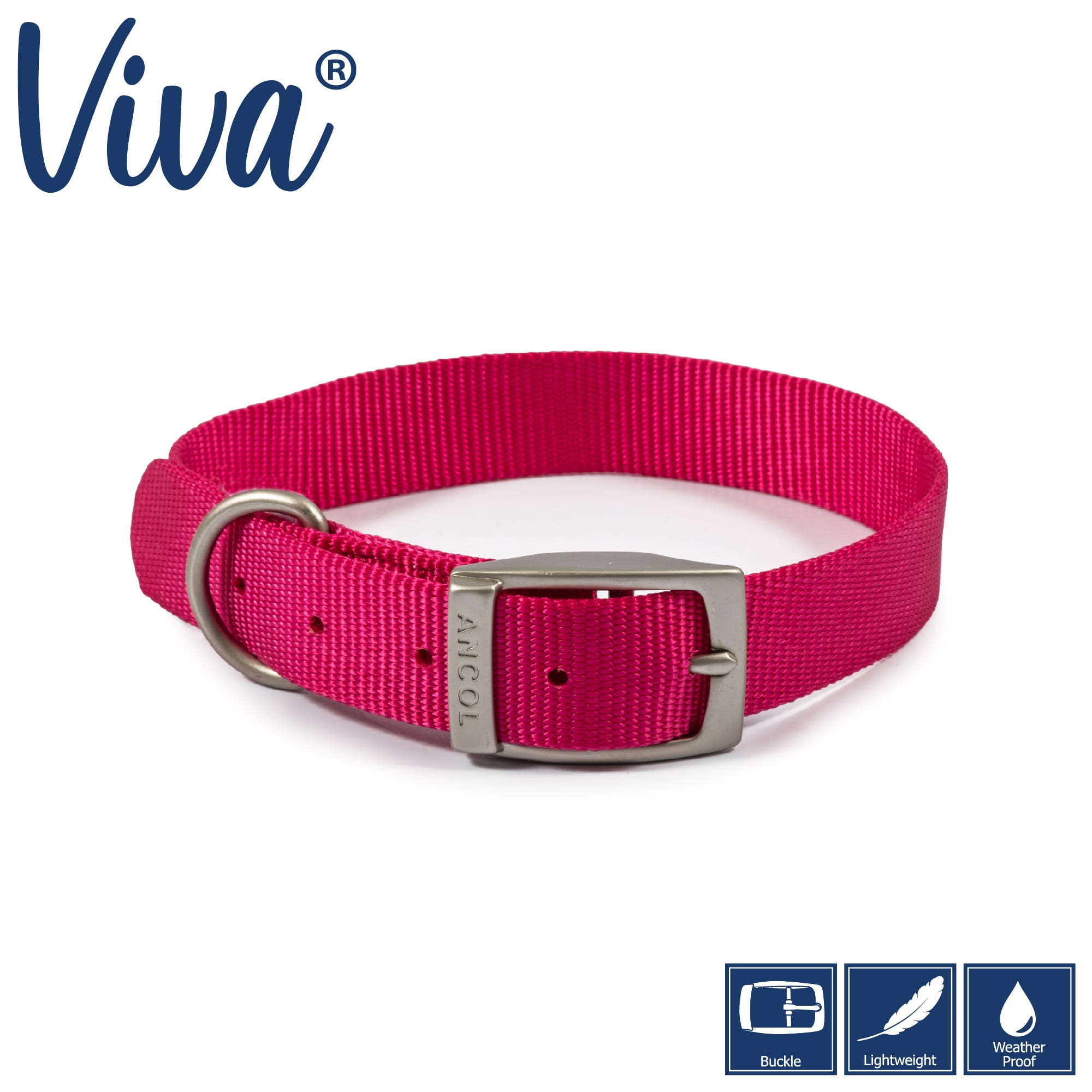 Raspberry Pink Dog Collar - Metal Buckle