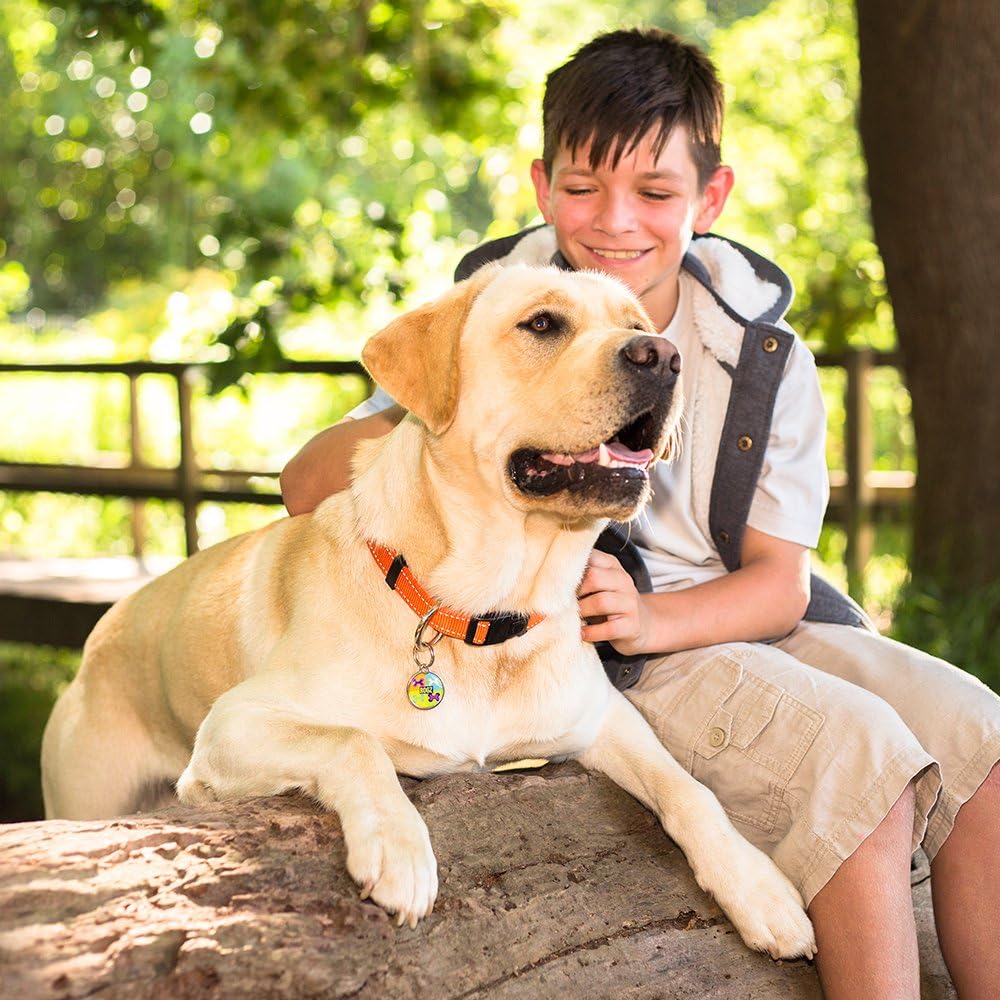 Classic Black Dog Collar