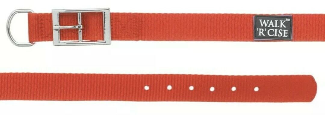 Nylon Red Dog Collar - XL