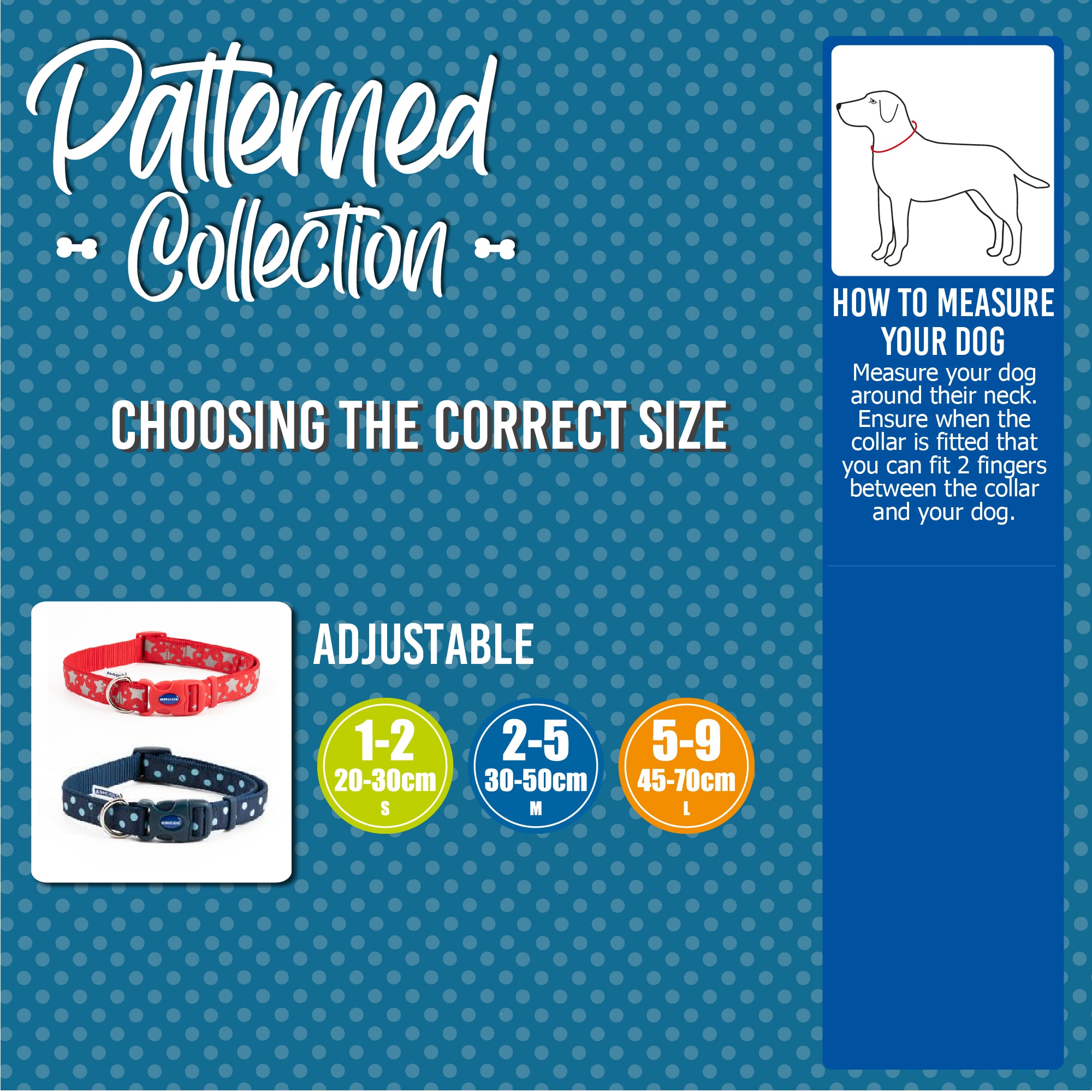 Reflective Dog Collar - Blue Bone