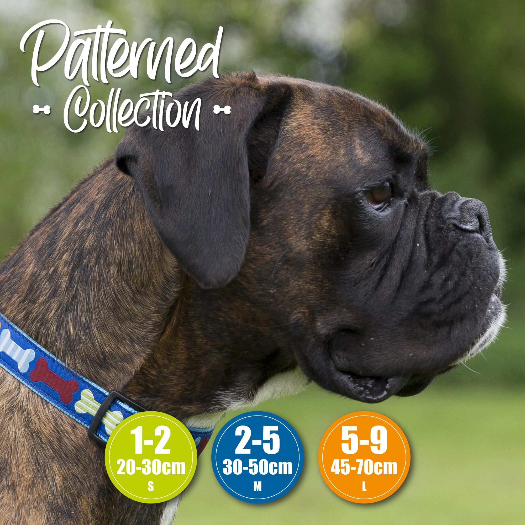 Reflective Dog Collar - Blue Bone