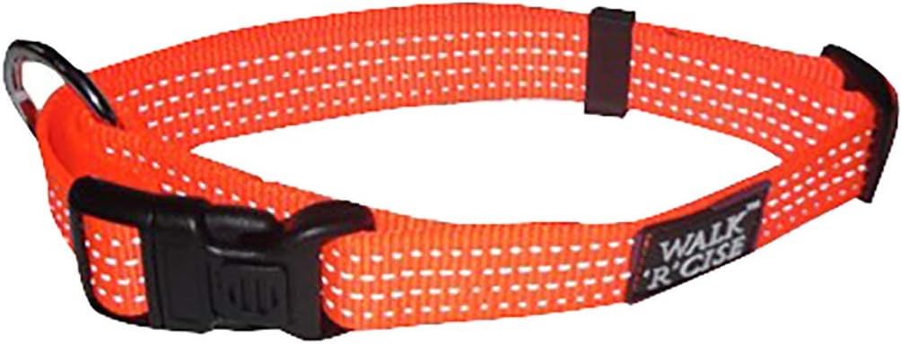 Reflective Orange Dog Collar - Hi Viz