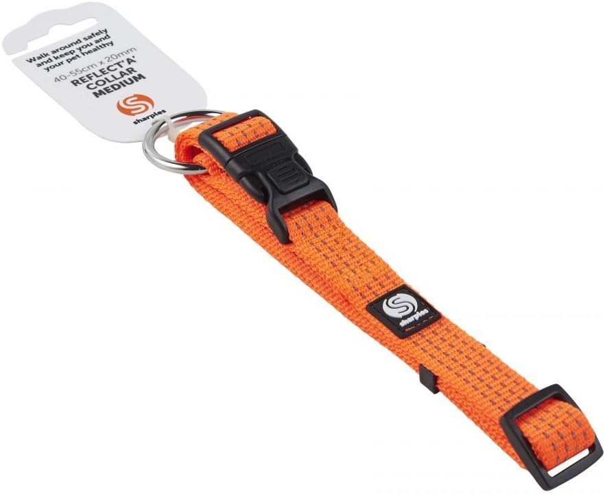 Reflective Orange Dog Collar - Hi Viz